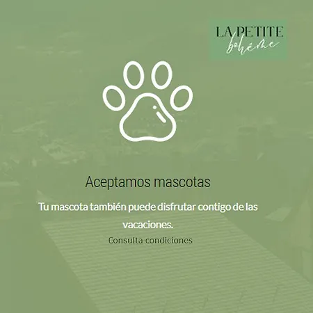 Hotel La Petite Boheme