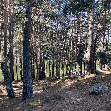 La Petite Boheme Casau