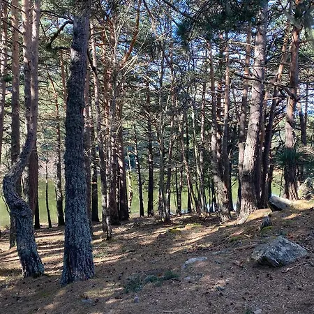 La Petite Boheme Casau